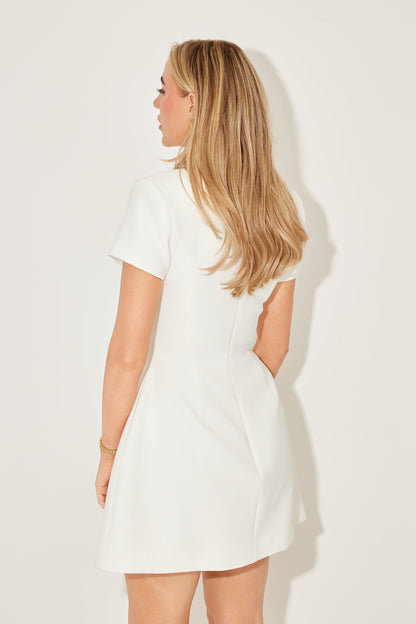 The Luxe Collared Mini Dress with Volume Skirt