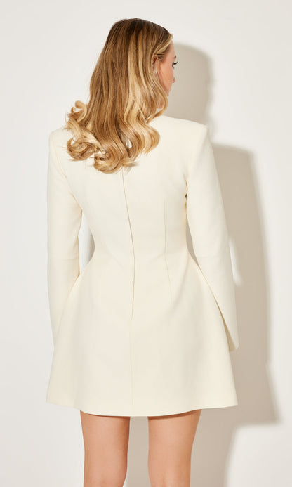 The Luxe Long Sleeve Button Down Dress